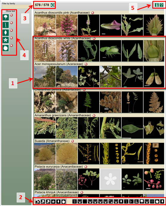 Plant ID guide main features